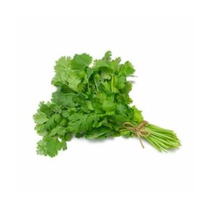 Cilantro