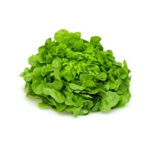 Lechuga mantecosa