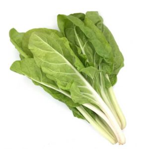 Acelga