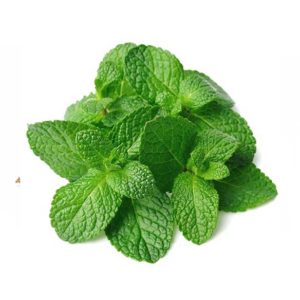 Menta rizada (hierbabuena)