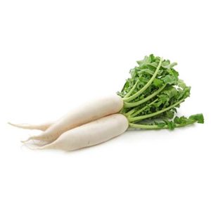 Nabo Daikon