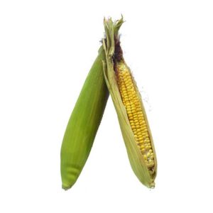 Choclo - Maíz Orgánico