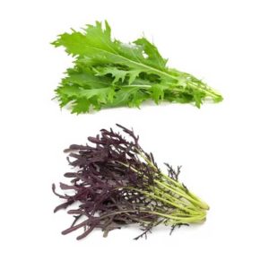 Mix mizuna verde y morada