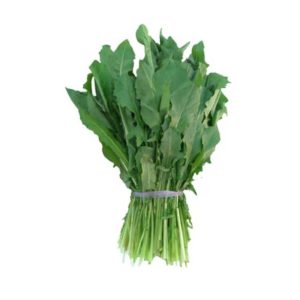 Radicha (hojas para ensalada)