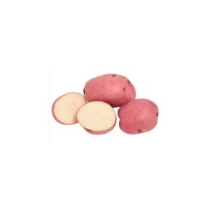 Papines rosados