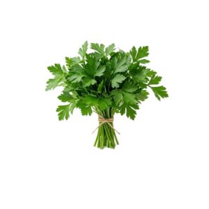 584x796-perejil-atado