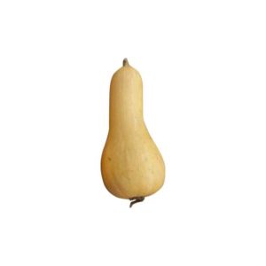 Zapallo calabacín baby