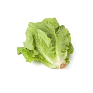 Lechuga romana