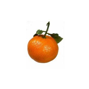 Tangerina